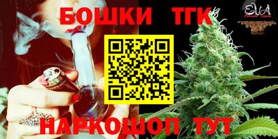 тгк Надым