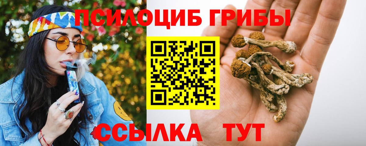 Ахтубинск  Галлюциногенные грибы MAGIC MUSHROOMS  Вход с VPN 