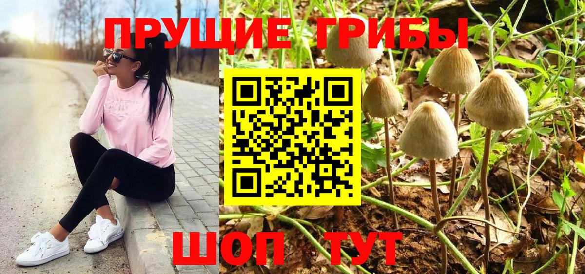 Галлюциногенные грибы прущие грибы Ахтубинск